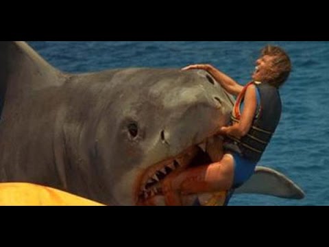 HD Quality Wallpaper | Collection: Movie, 480x360 Jaws: The Revenge