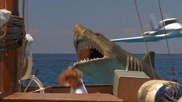 Jaws: The Revenge #19