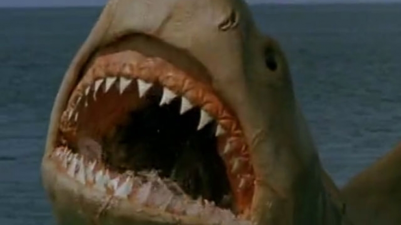 Jaws: The Revenge Pics, Movie Collection