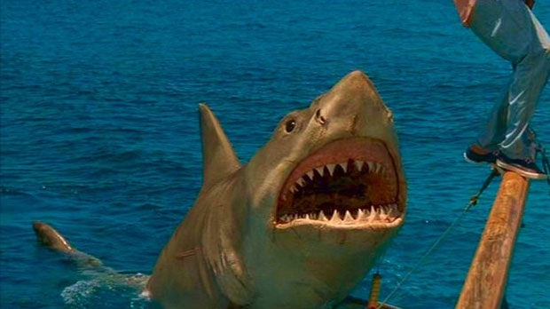 Jaws: The Revenge #11
