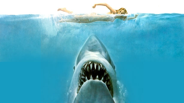 Jaws #16