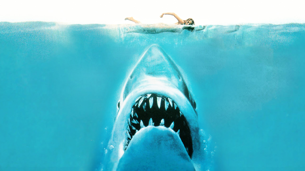 Jaws #19