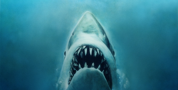 HD Quality Wallpaper | Collection: Movie, 592x299 Jaws