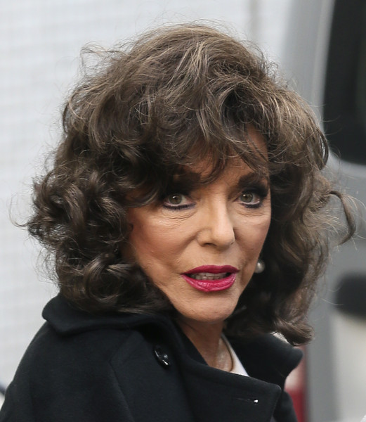 HD Quality Wallpaper | Collection: Celebrity, 521x600 Joan Collins