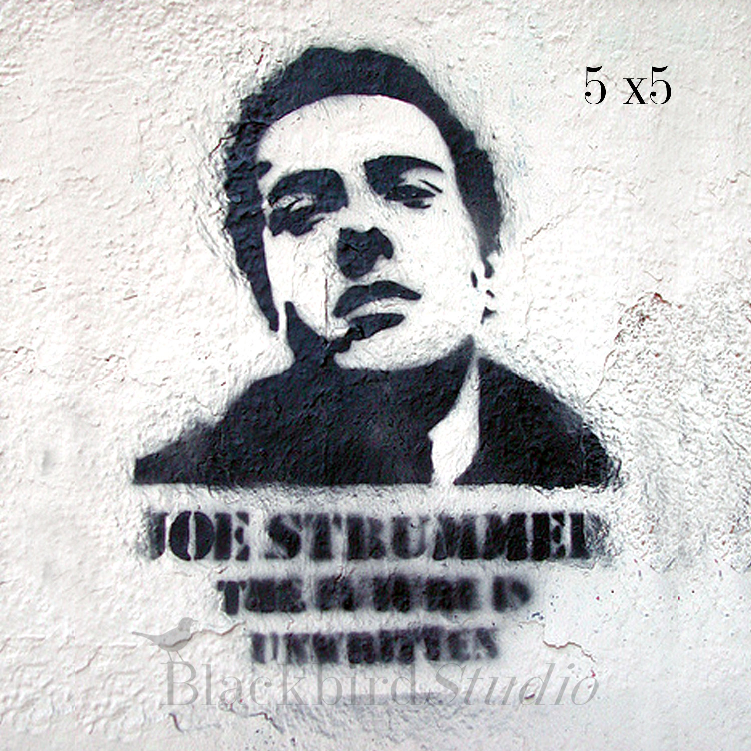 1500x1500 > Joe Strummer: The Future Is Unwritten Wallpapers