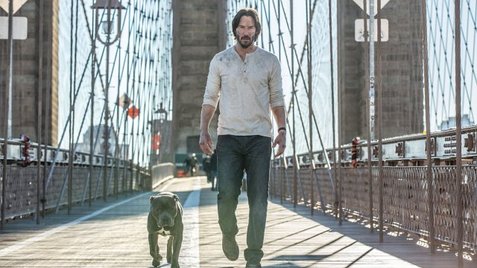 Nice wallpapers John Wick: Chapter 2 477x268px