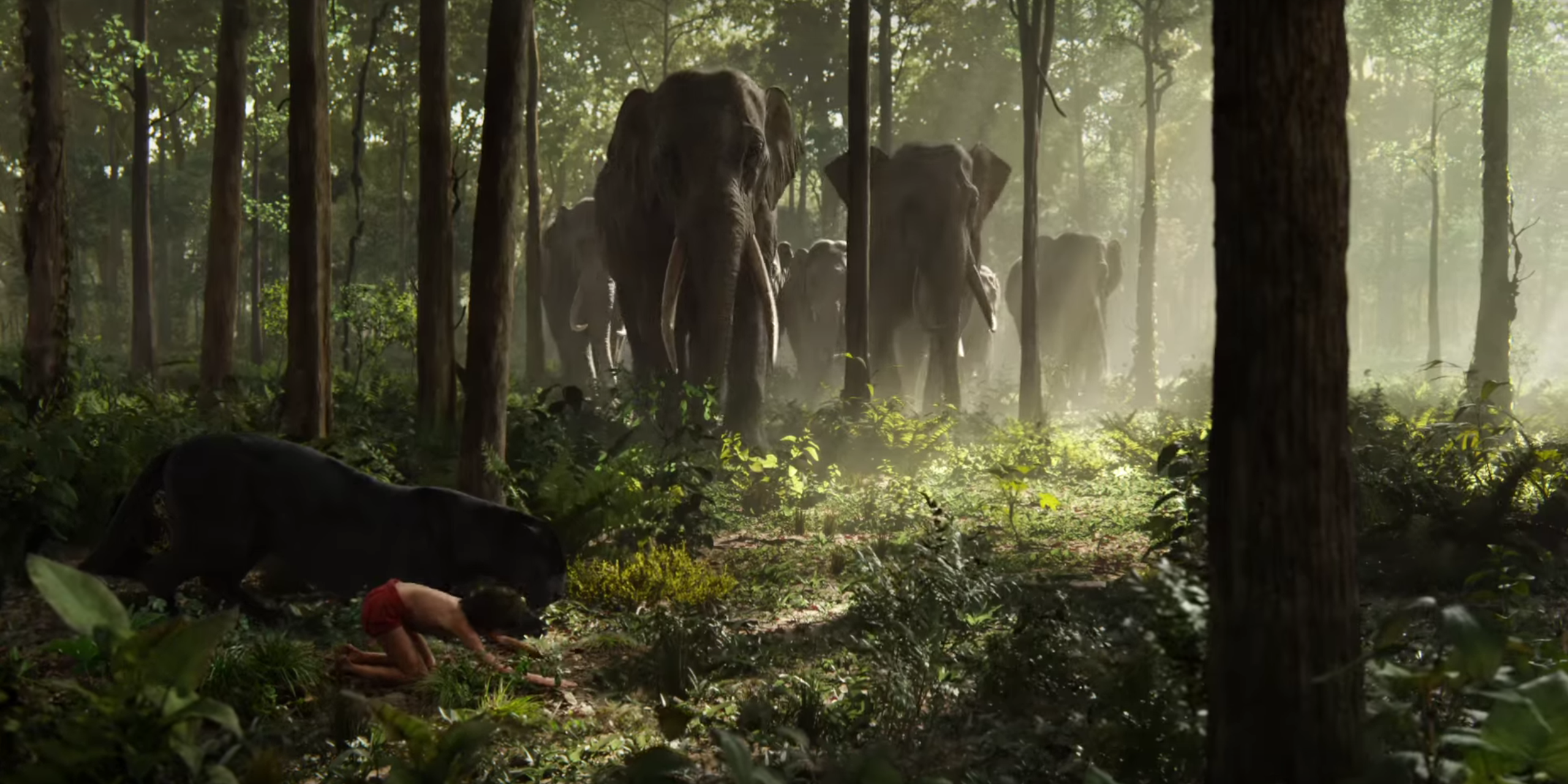 Джунглях живут люди. Маугли книга джунглей 2016. Книга джунглей 2016 слоны.