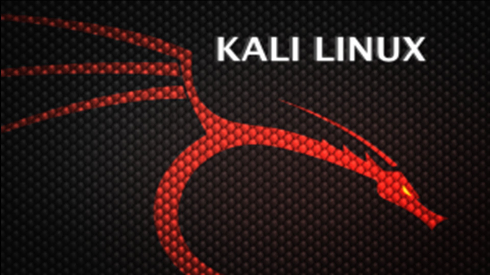 High Resolution Wallpaper | Kali Linux 1920x1080 px