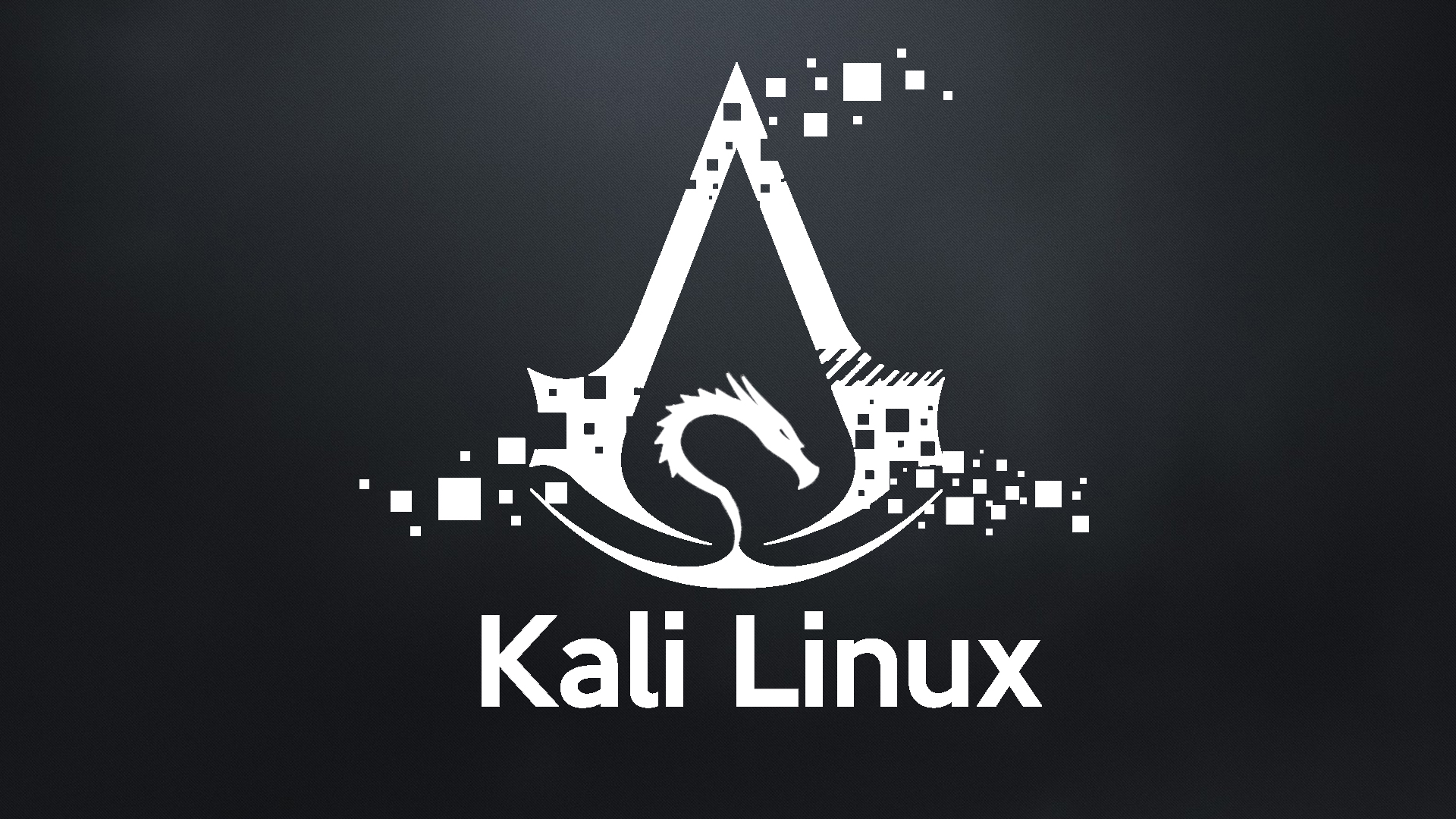 Kali Linux Backgrounds, Compatible - PC, Mobile, Gadgets| 1920x1080 px