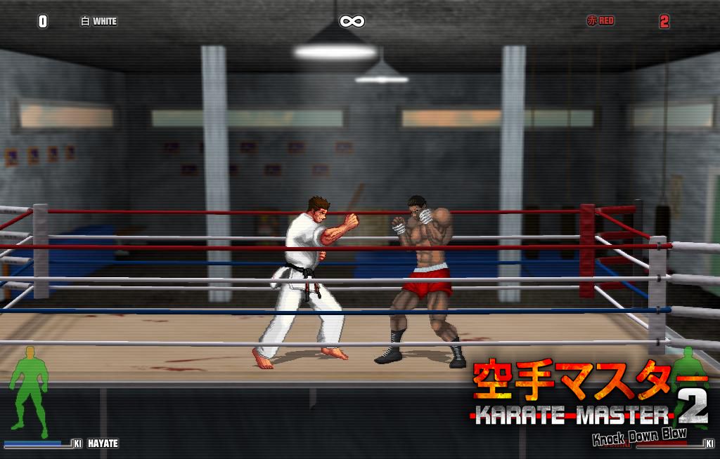 HD Quality Wallpaper | Collection: Video Game, 1024x654 Karate Master 2 Knock Down Blow