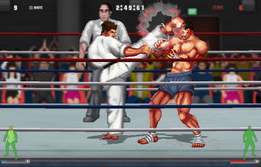 HD Quality Wallpaper | Collection: Video Game, 529x338 Karate Master 2 Knock Down Blow
