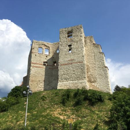 Kazimierz Dolny Castle #13