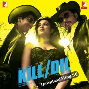 Kill Dil Pics, Movie Collection