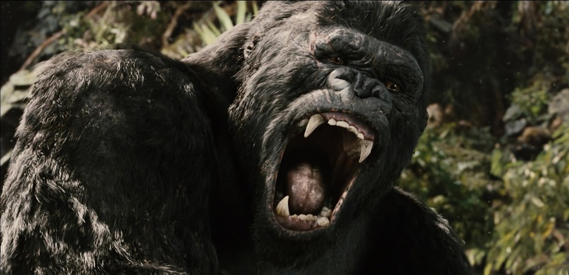 King Kong (2005) High Quality Background on Wallpapers Vista
