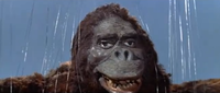 King Kong Vs. Godzilla  #14