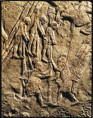 High Resolution Wallpaper | King Sennacherib 300x379 px
