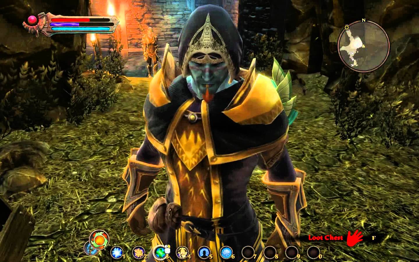 1440x900 > Kingdoms Of Amalur Wallpapers