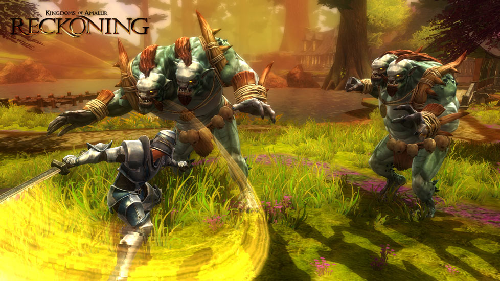 HD Quality Wallpaper | Collection: Video Game, 978x550 Kingdoms Of Amalur: Reckoning