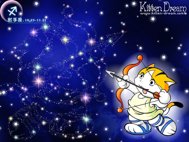 Kitten Dream Backgrounds, Compatible - PC, Mobile, Gadgets| 640x480 px