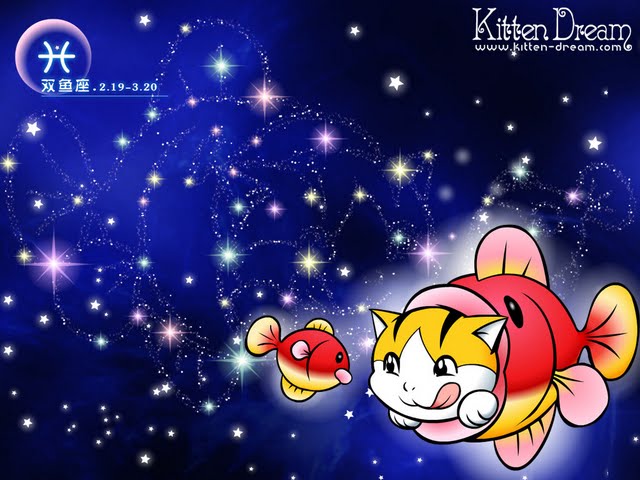 Images of Kitten Dream | 640x480