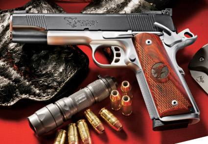 Amazing Nighthawk Pistol Pictures & Backgrounds