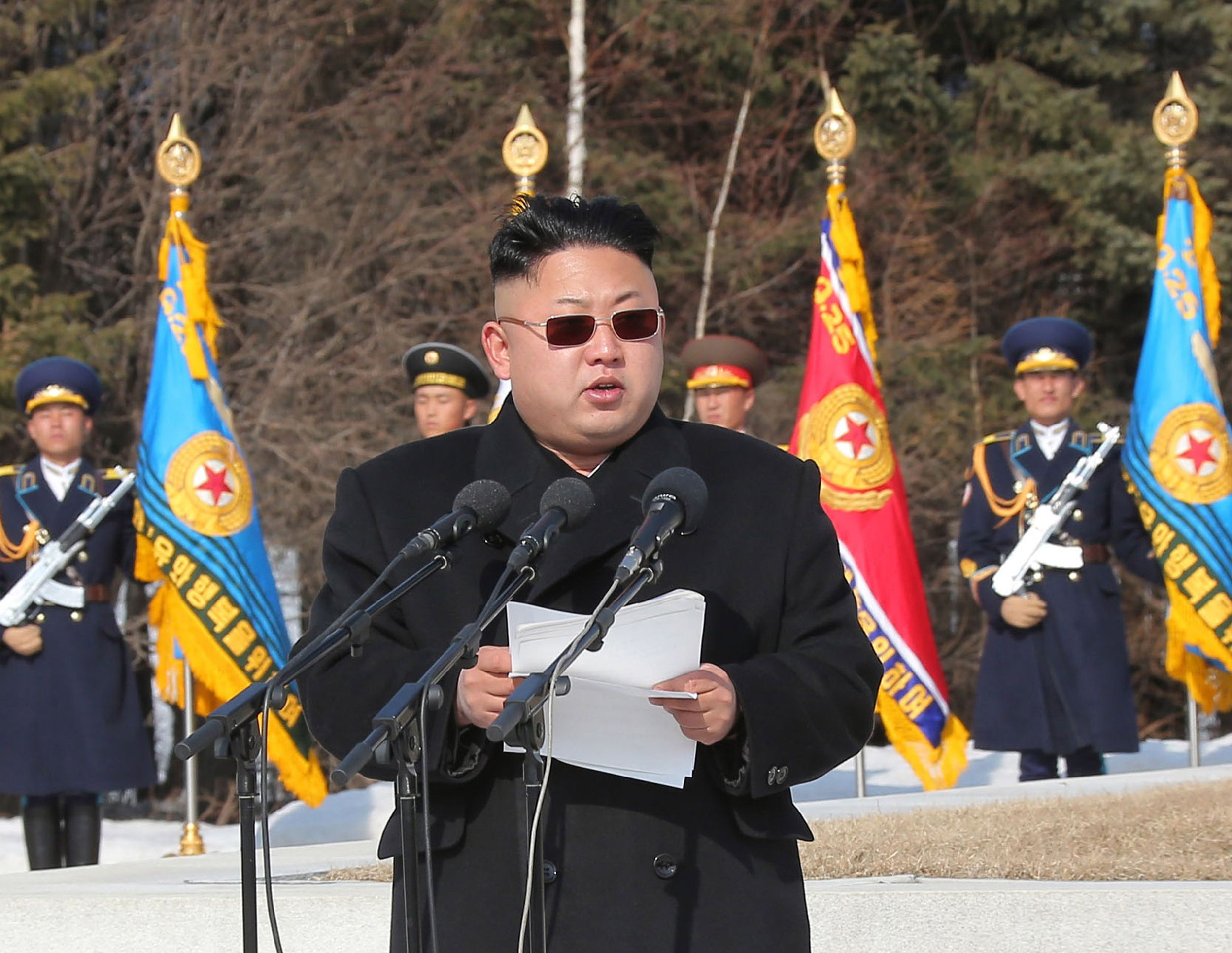 Korean People's Army #19