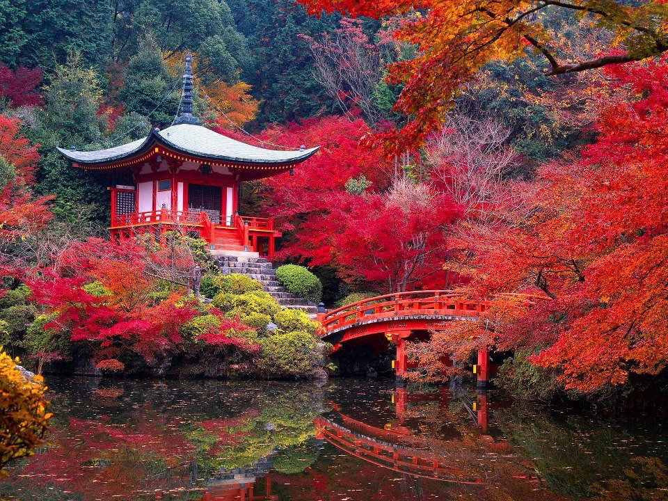 Nice Images Collection: Kyoto Desktop Wallpapers