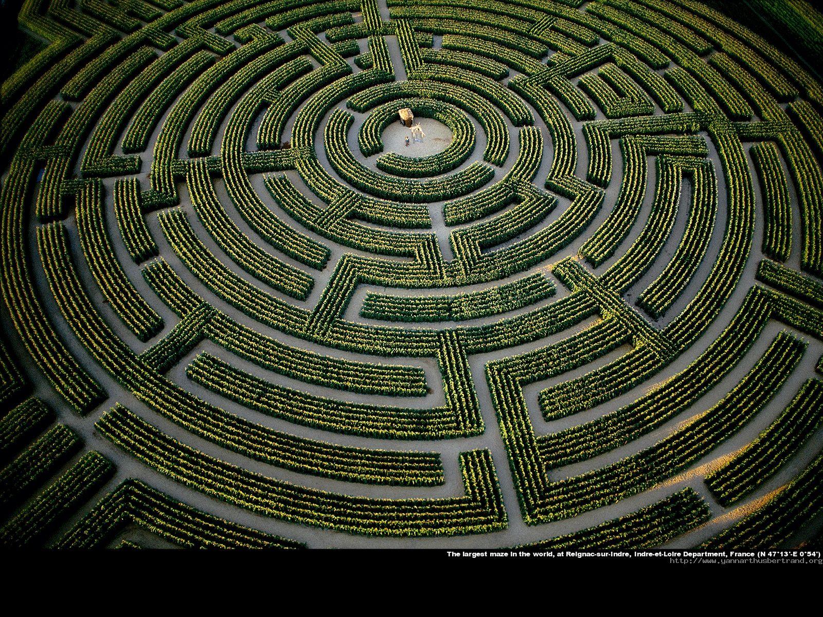 Amazing Labyrinth Pictures & Backgrounds