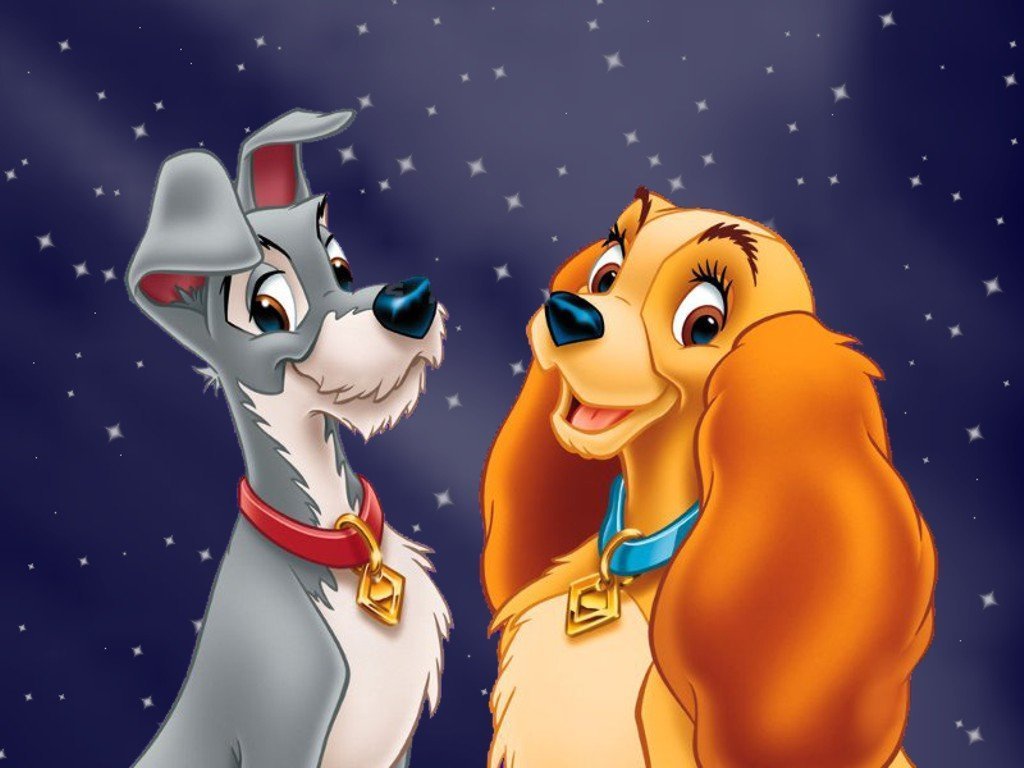 Nice wallpapers Lady And The Tramp 1024x768px