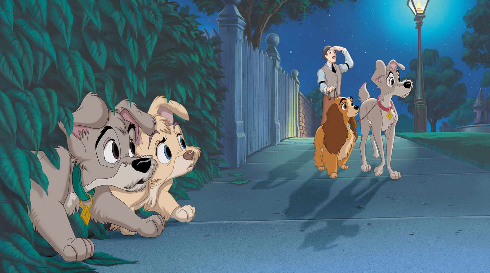 HD Quality Wallpaper | Collection: Movie, 1580x880 Lady And The Tramp II: Scamp's Adventure