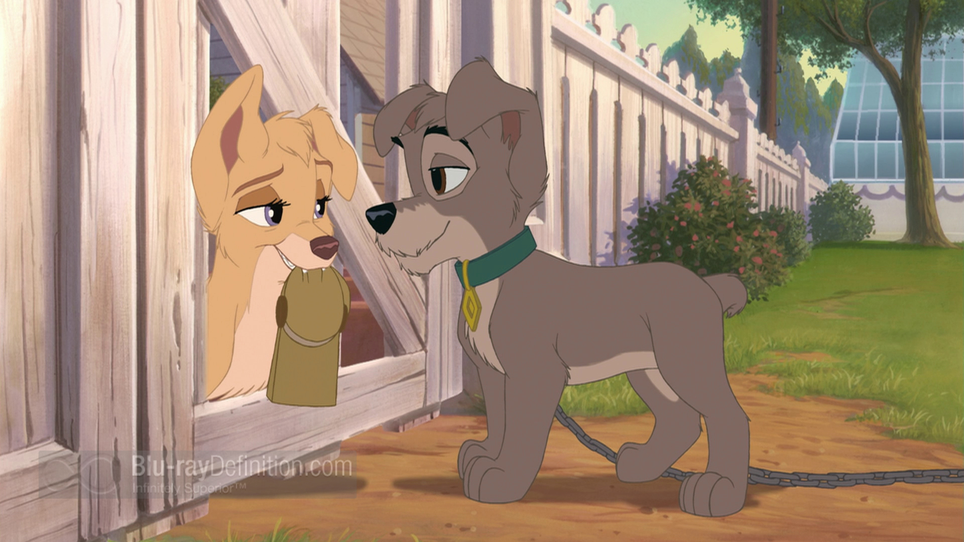 HQ Lady And The Tramp II: Scamp's Adventure Wallpapers | File 1306.1Kb