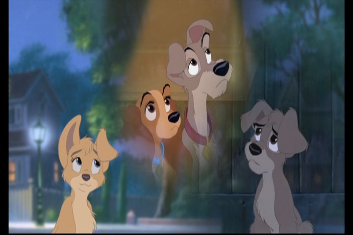 Images of Lady And The Tramp II: Scamp's Adventure | 720x480