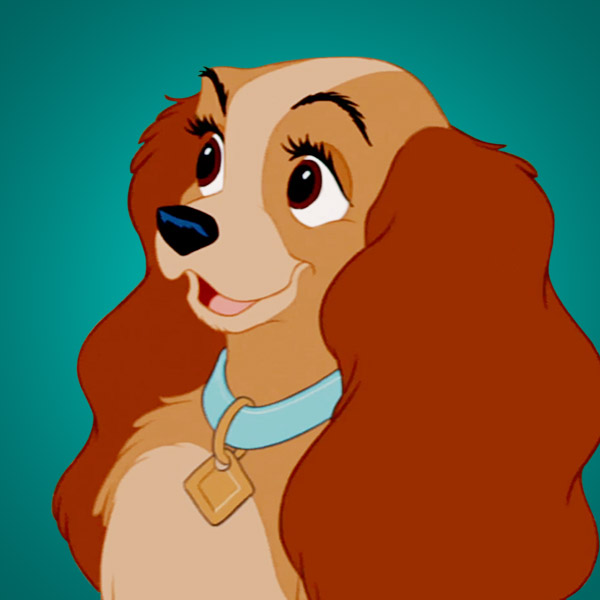Lady And The Tramp HD wallpapers, Desktop wallpaper - most viewed