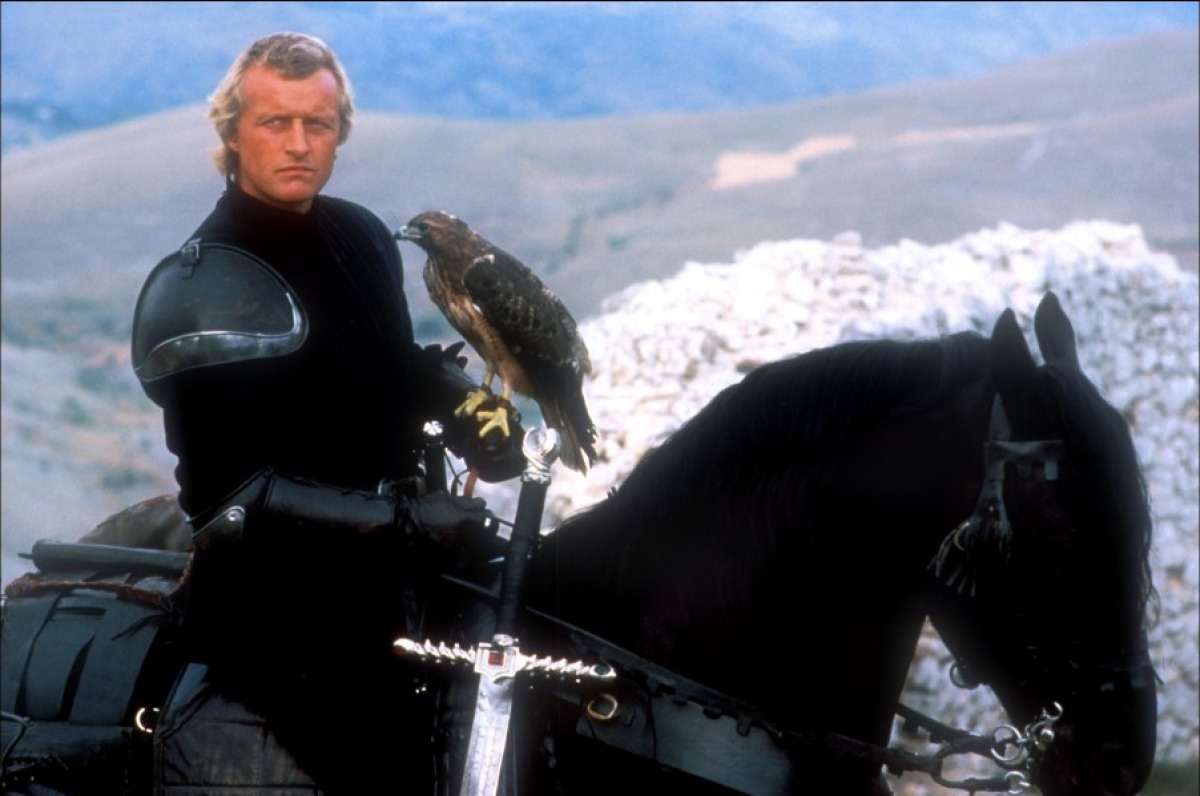 Ladyhawke High Quality Background on Wallpapers Vista