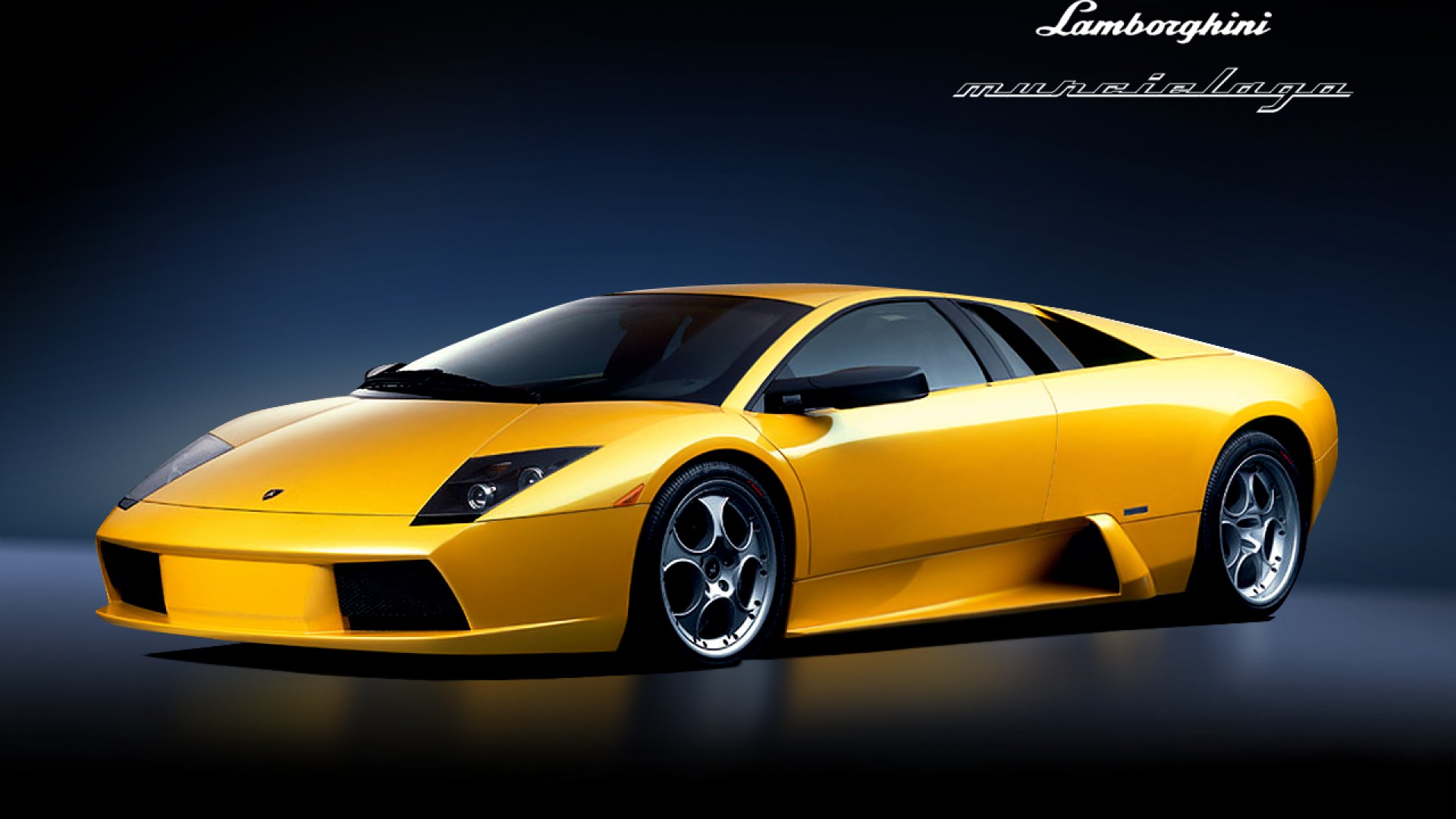 Nice Images Collection: Lamborghini Murciélago Desktop Wallpapers