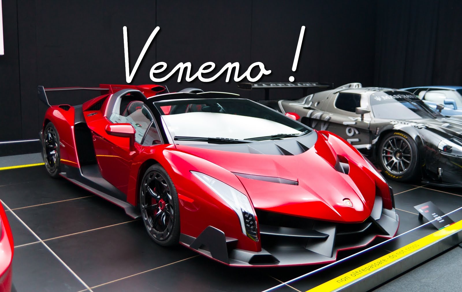Lamborghini Veneno Roadster #16