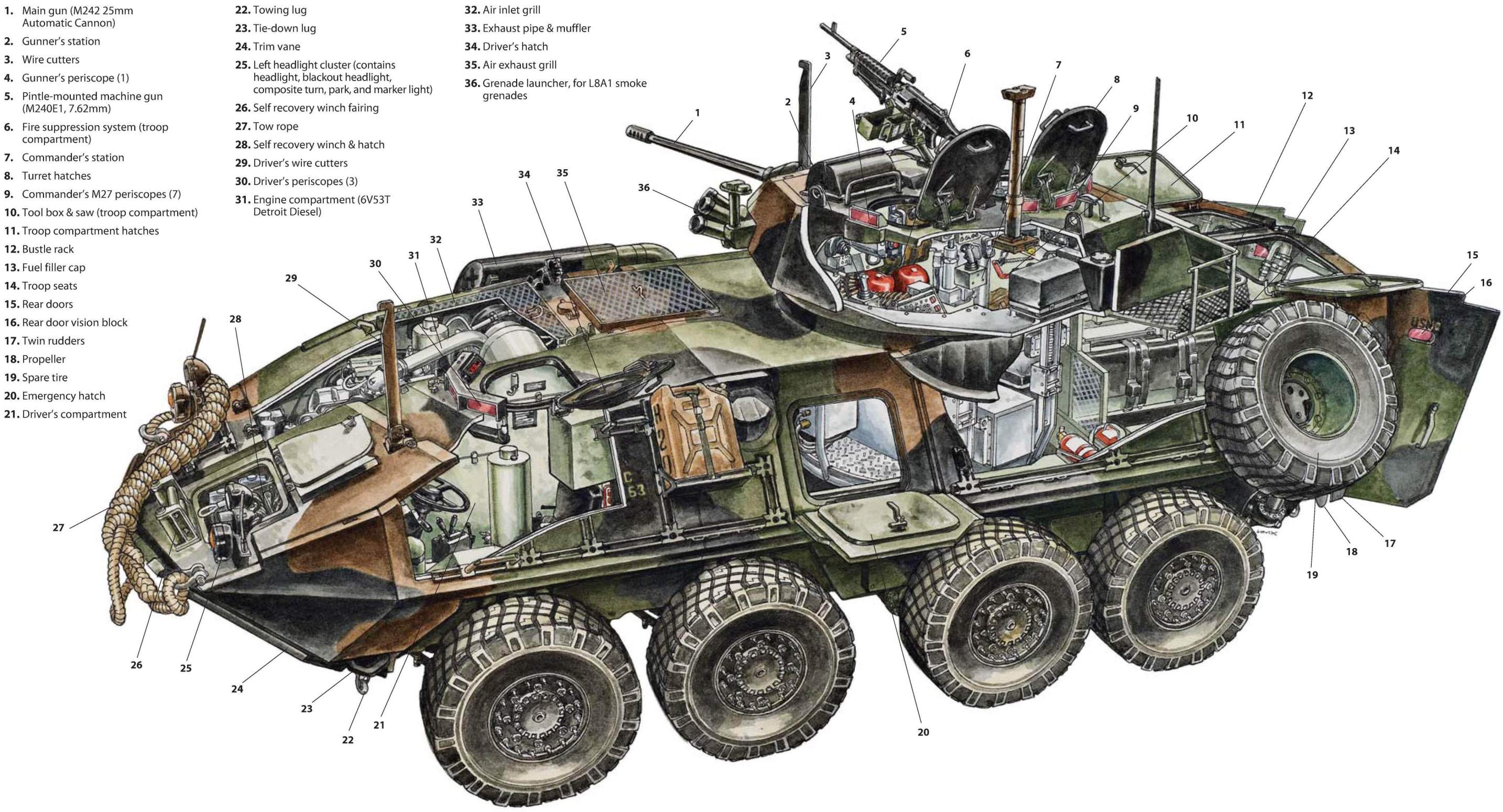 Устройство военной техники. БТР Lav-25. Танк БТР 80. БТР 80 схема расположения экипажа. Боевая машина БТР 80.