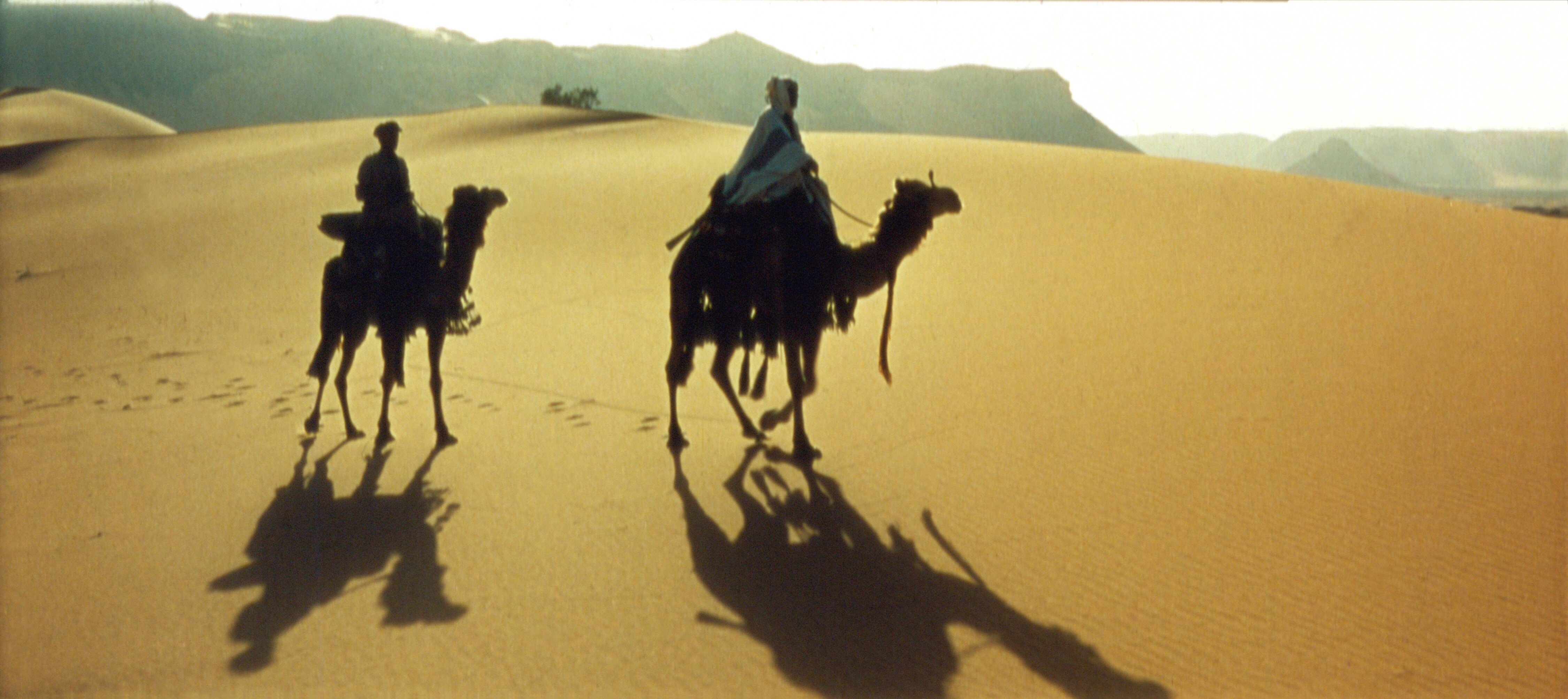 4500x2007 > Lawrence Of Arabia Wallpapers