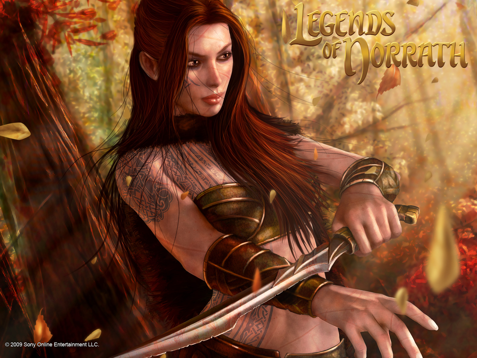 Legend Of Norrath High Quality Background on Wallpapers Vista