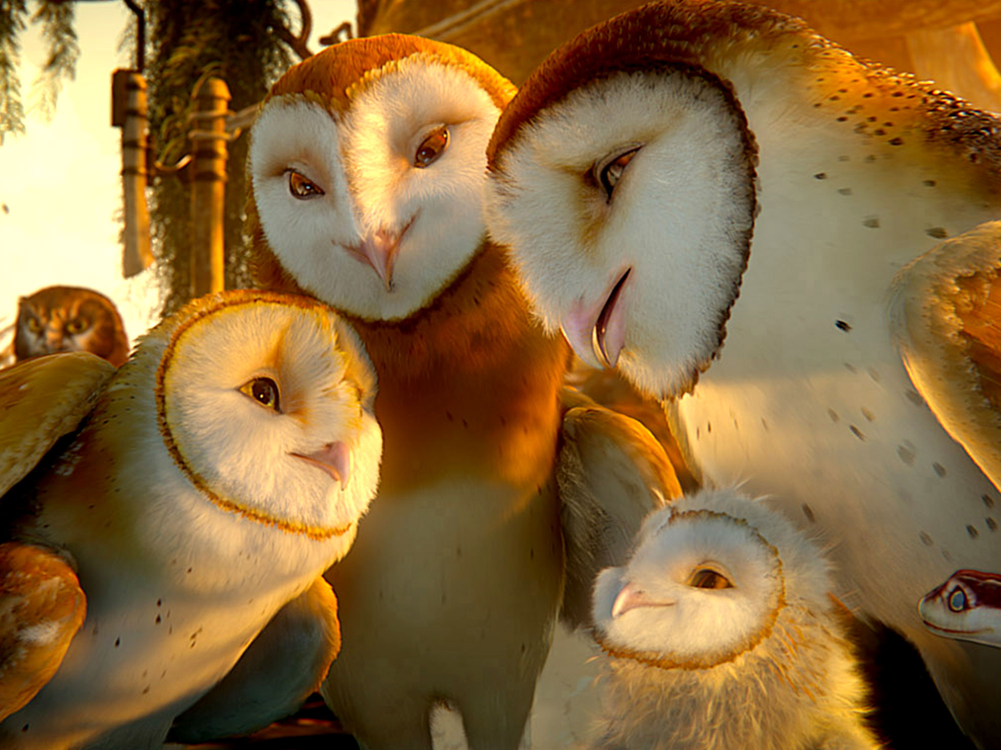 Legend Of The Guardians: The Owls Of Ga'Hoole HD wallpapers, Desktop wallpaper - most viewed