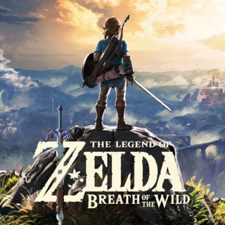 Legend Of Zelda: Breath Of The Wild #9