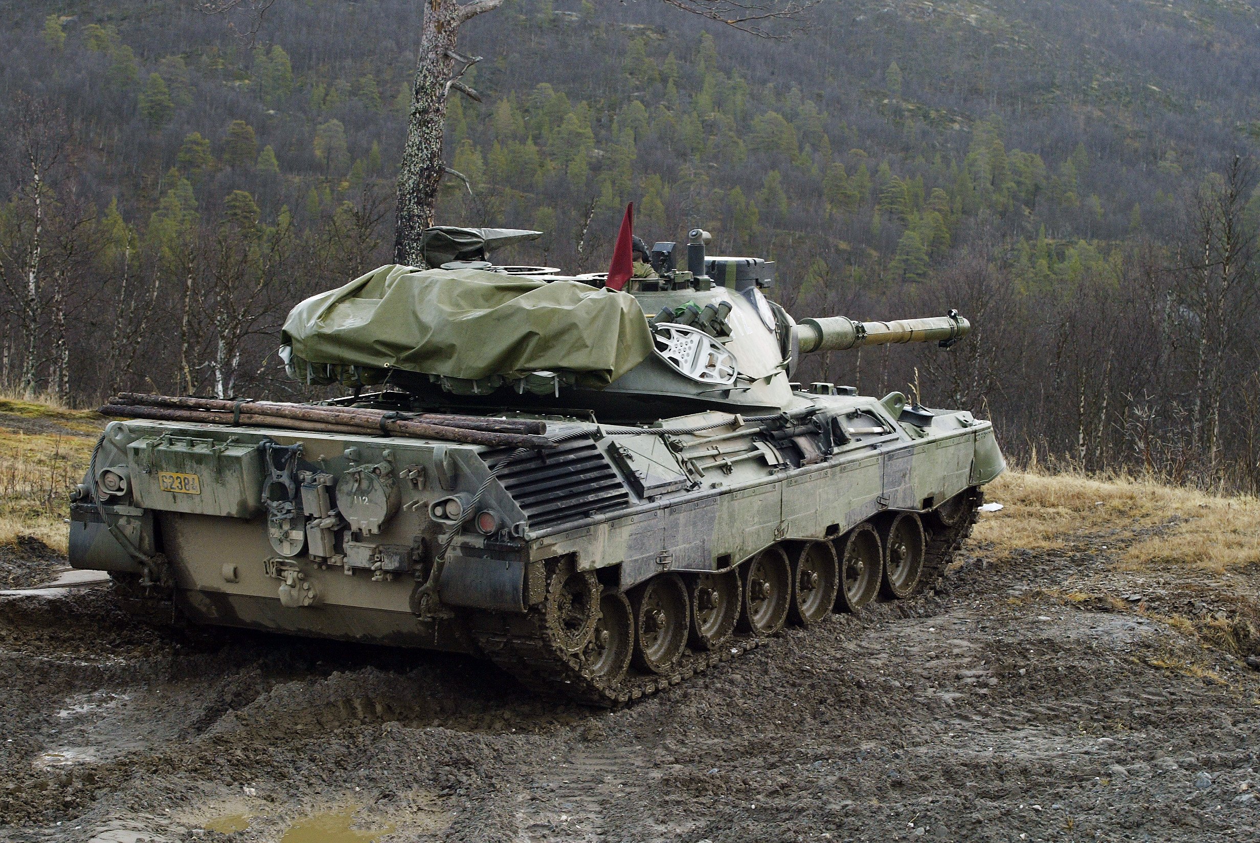 Leopard 1 #15