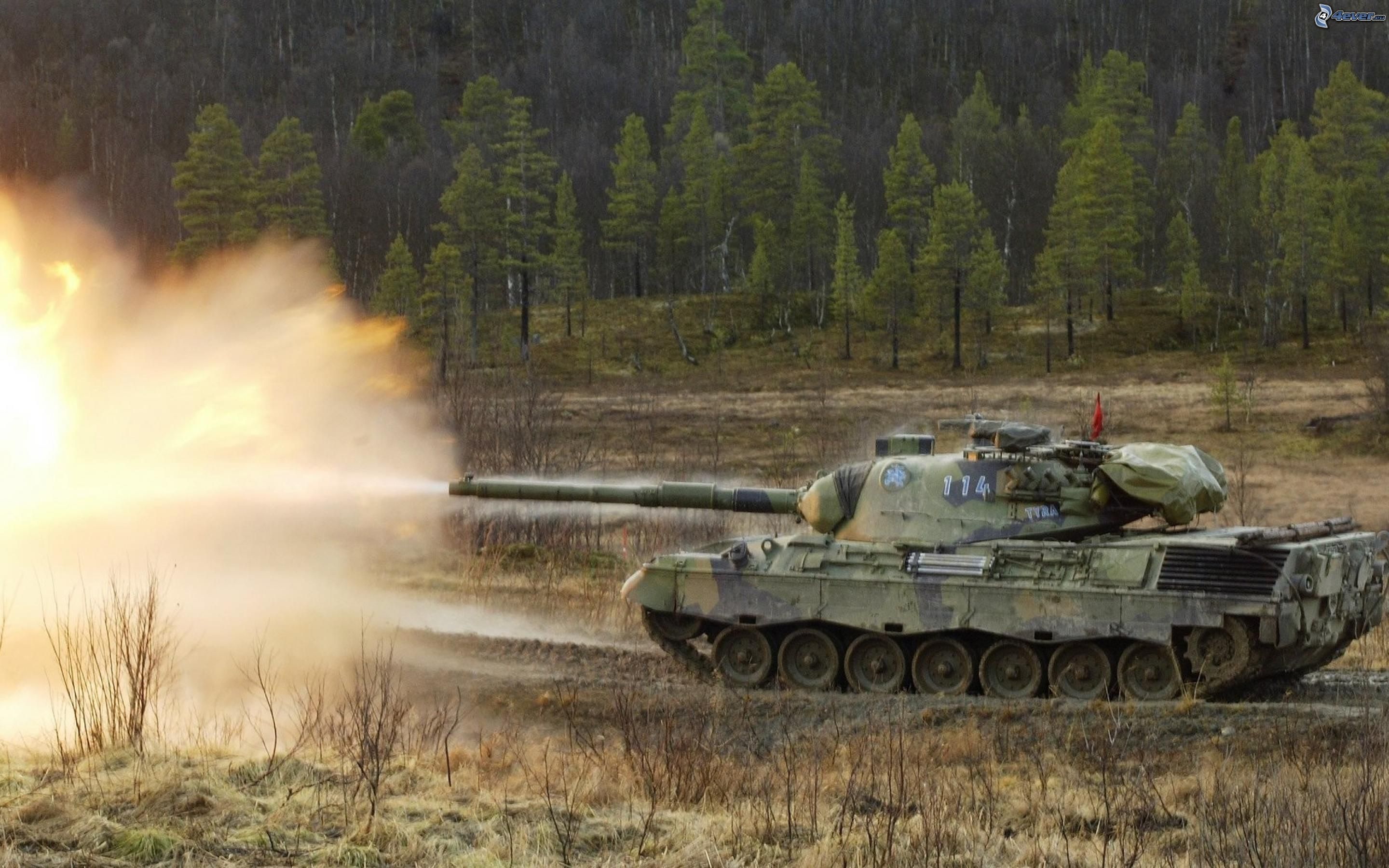 Leopard 1 #2