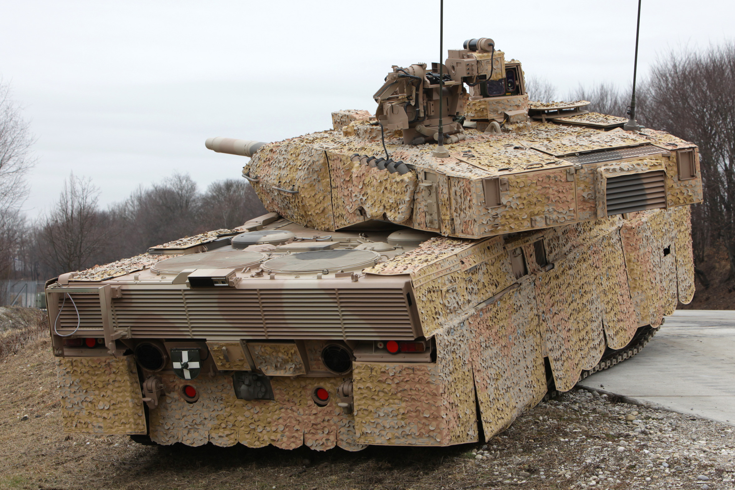 Leopard 2 #12