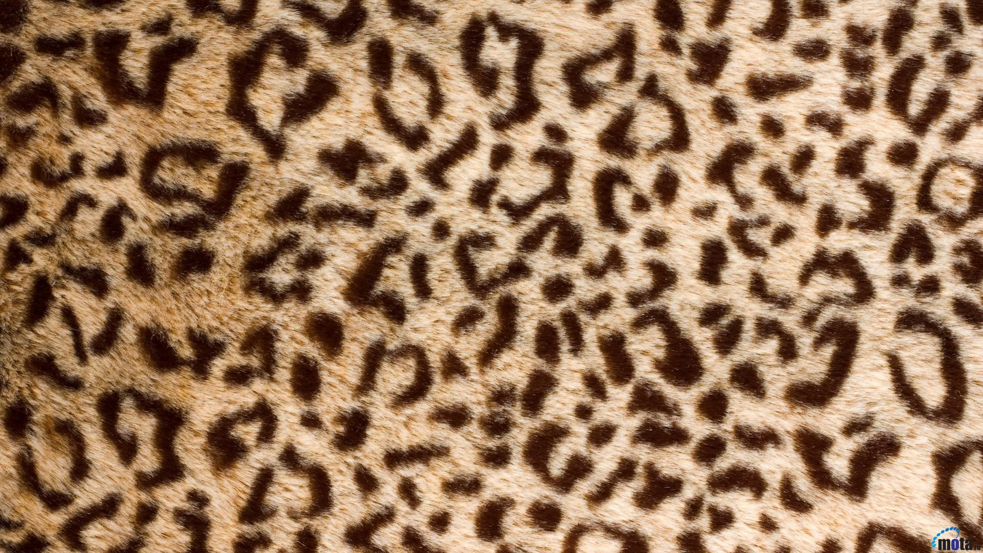 1920x1080 > Leopard Skin Wallpapers