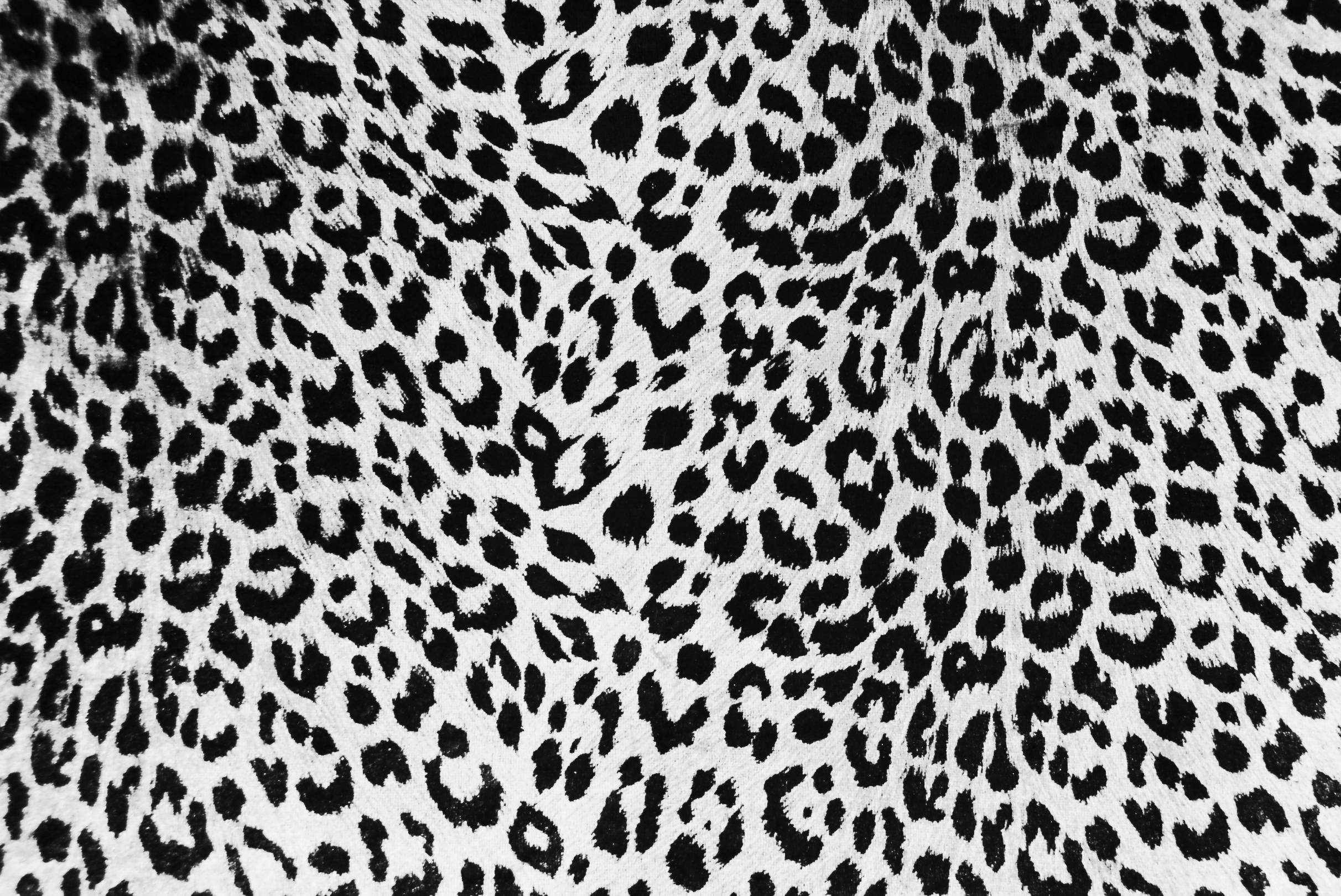 Amazing Leopard Skin Pictures & Backgrounds