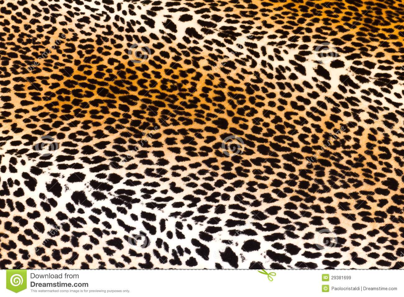 Leopard Skin #3