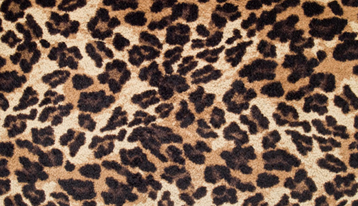 Images of Leopard Skin | 520x300