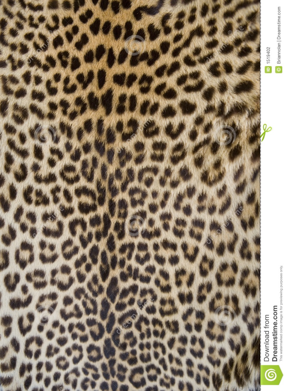 Leopard Skin Backgrounds on Wallpapers Vista