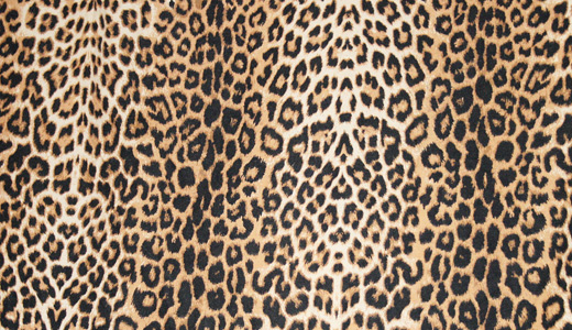 Nice Images Collection: Leopard Skin Desktop Wallpapers